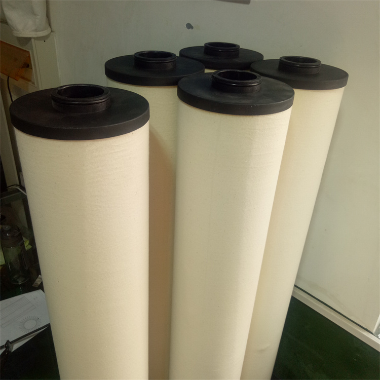 GTCF-1A (2)